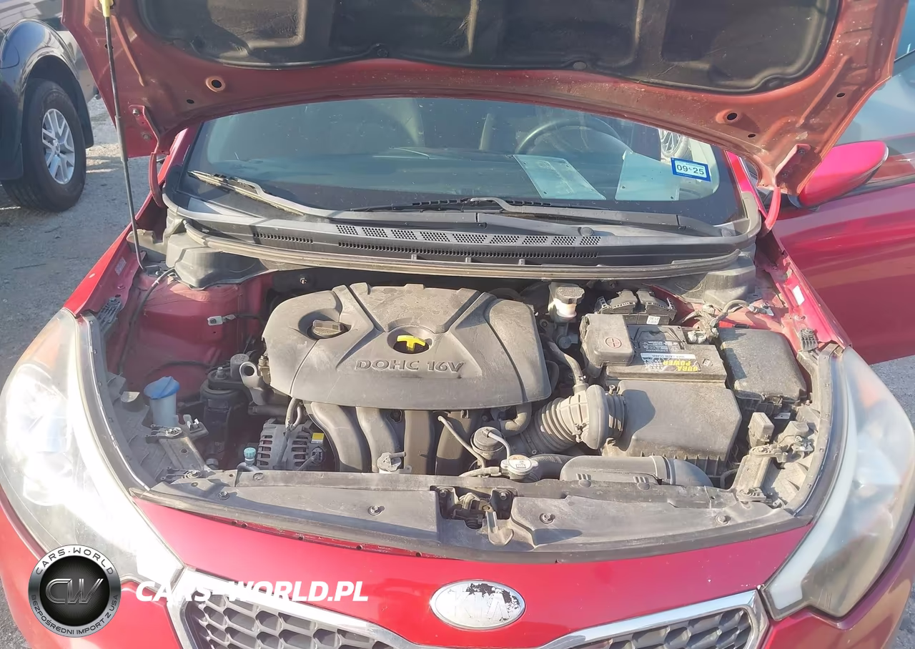 2014 Kia Forte Lx VIN:KNAFX4A66E5134115 - 10