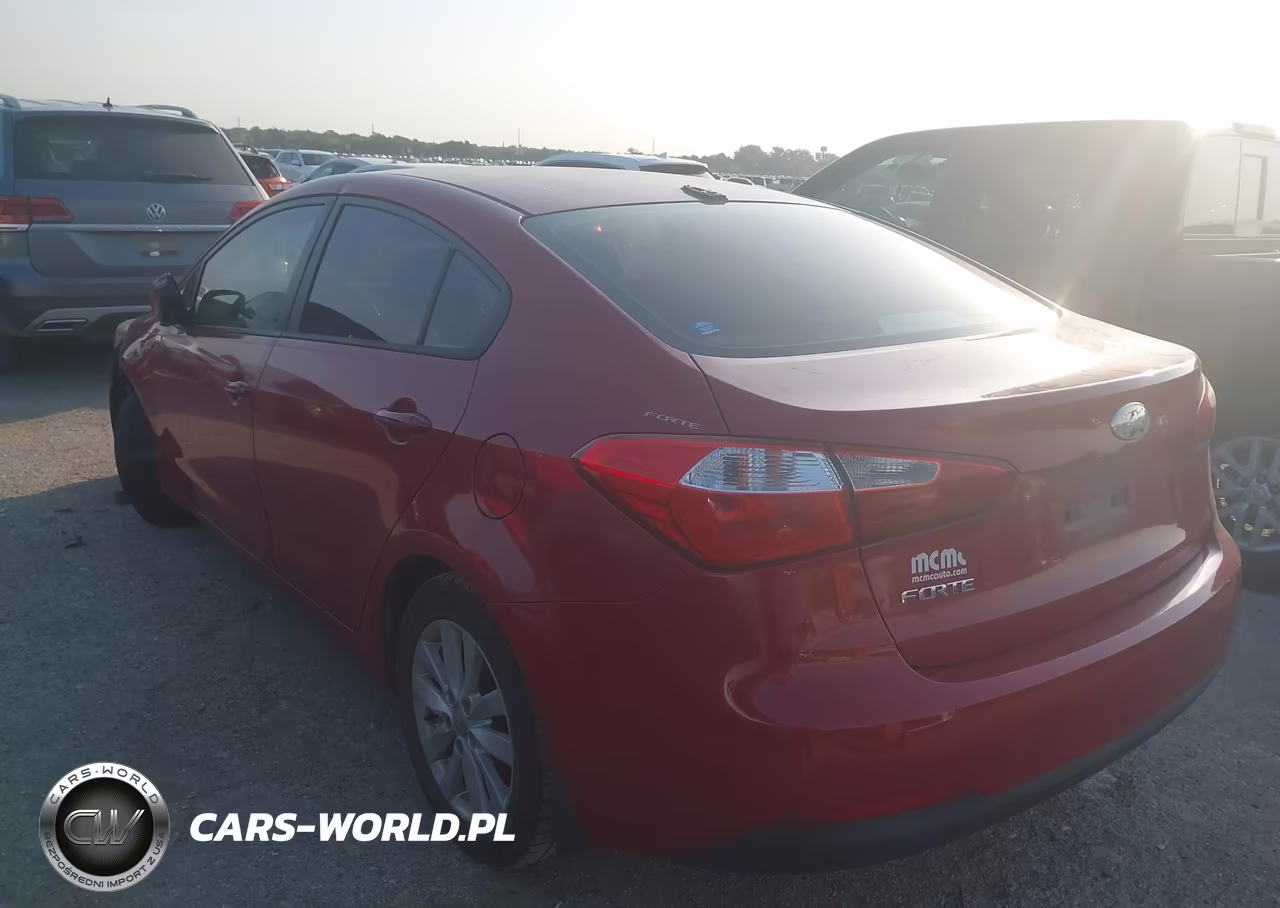 2014 Kia Forte Lx VIN:KNAFX4A66E5134115 - 3