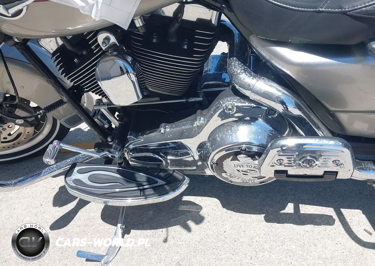 2008 Harley-Davidson Flhrc VIN:1HD1FR4138Y664041 - 9