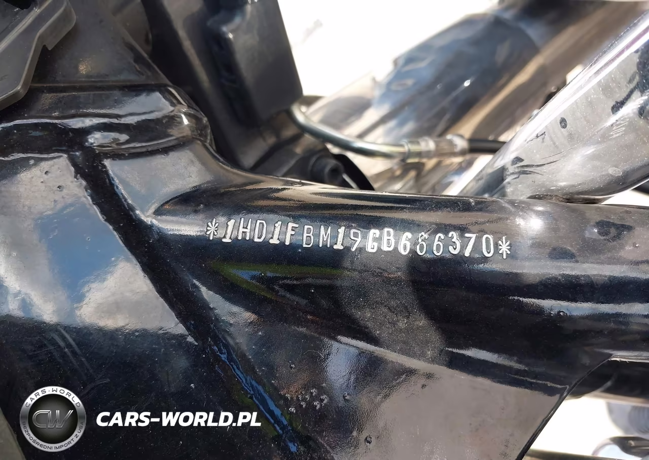 2016 Harley-Davidson Flhr Road King VIN:1HD1FBM19GB666370 - 10