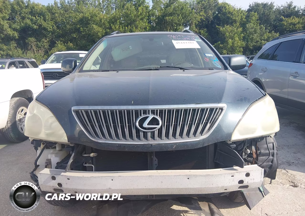 2004 Lexus Rx 330 VIN:JTJHA31U640066252 - 6