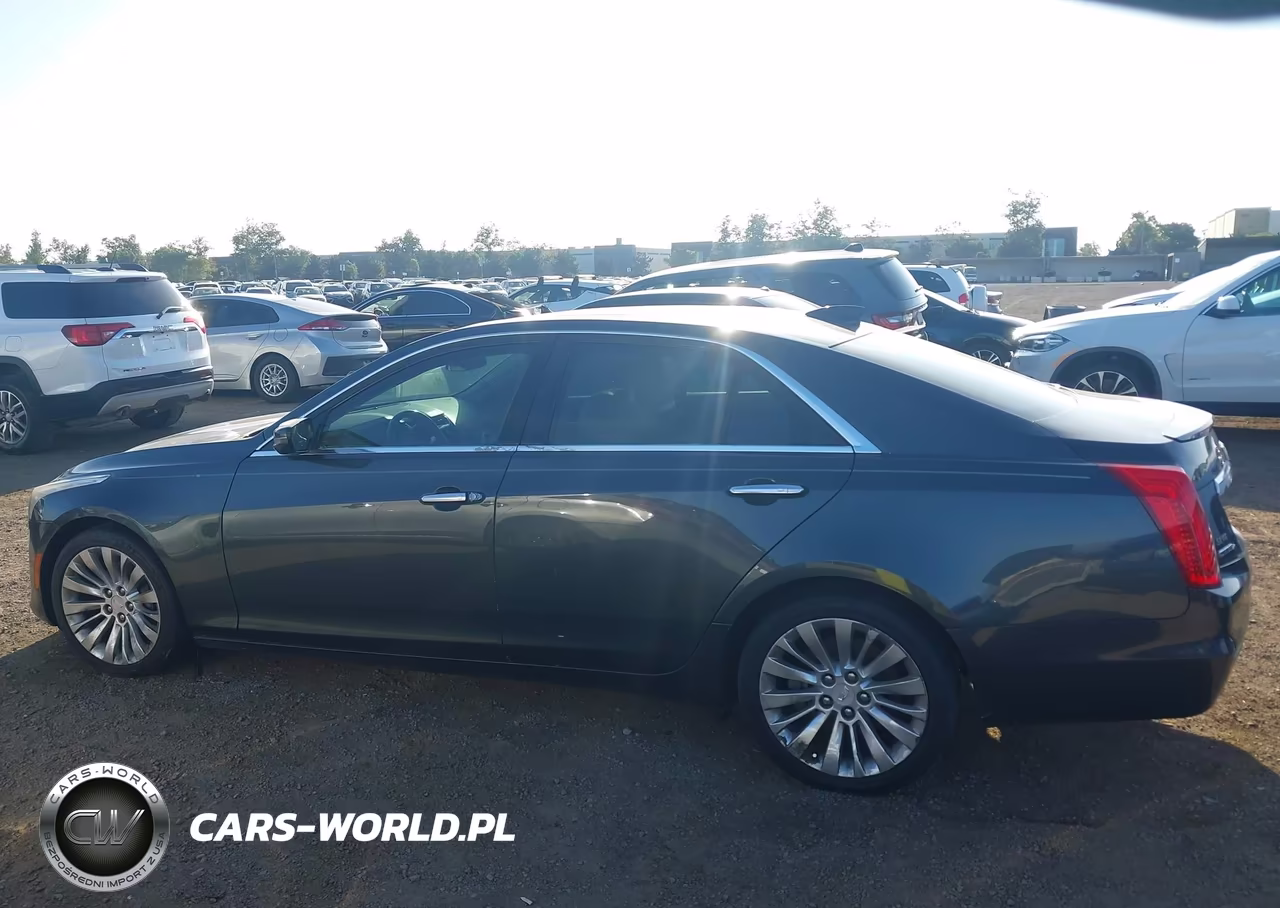 2015 Cadillac Cts Luxury VIN:1G6AX5SX4F0134898 - 14