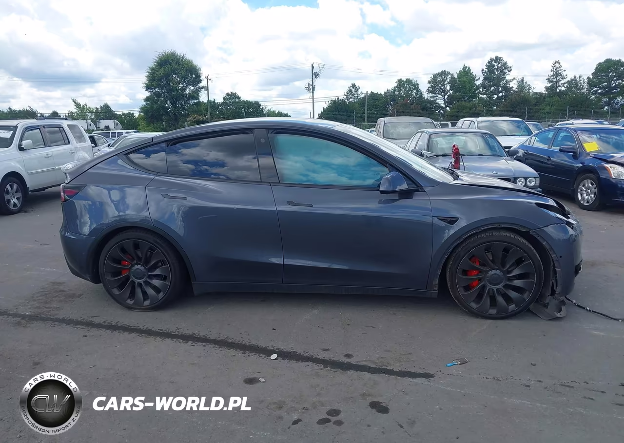 2022 Tesla Model Y Performance Dual Motor All-Wheel Drive VIN:7SAYGDEF6NF448032 - 12