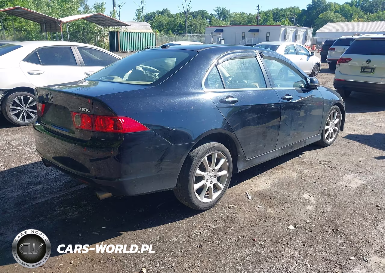 2006 Acura Tsx VIN:JH4CL96896C013437 - 4