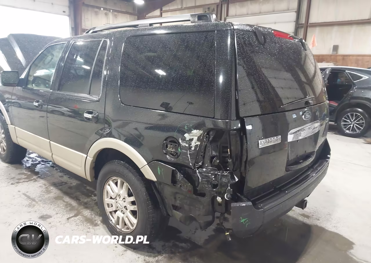 2010 Ford Expedition Eddie Bauer-King Ranch VIN:1FMJU1J51AEA00338 - 6