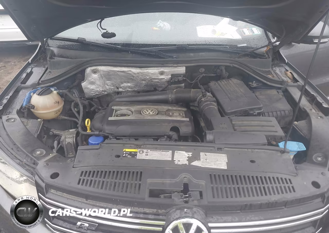 2014 Volkswagen Tiguan R-Line VIN:WVGBV3AX0EW124051 - 10