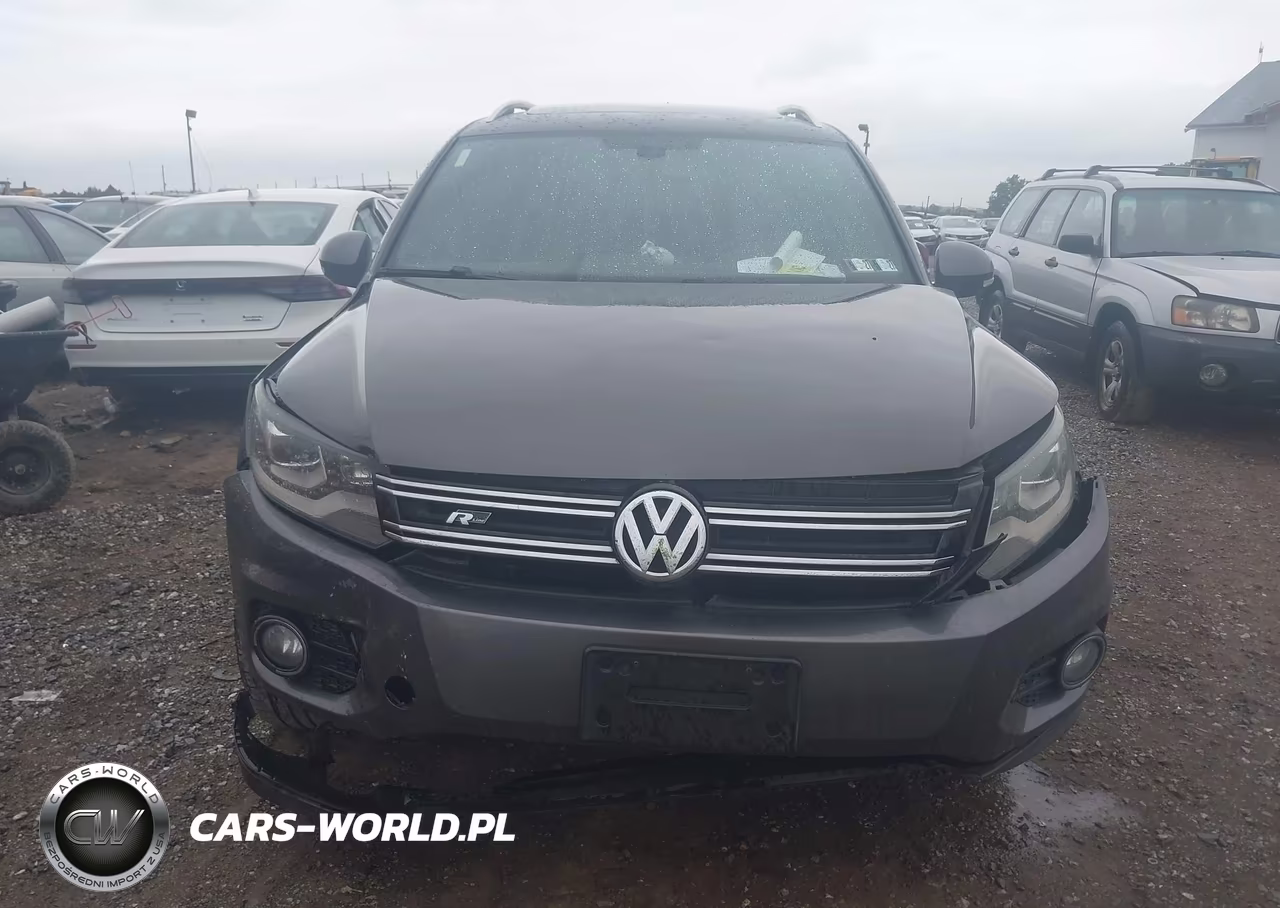 2014 Volkswagen Tiguan R-Line VIN:WVGBV3AX0EW124051 - 12