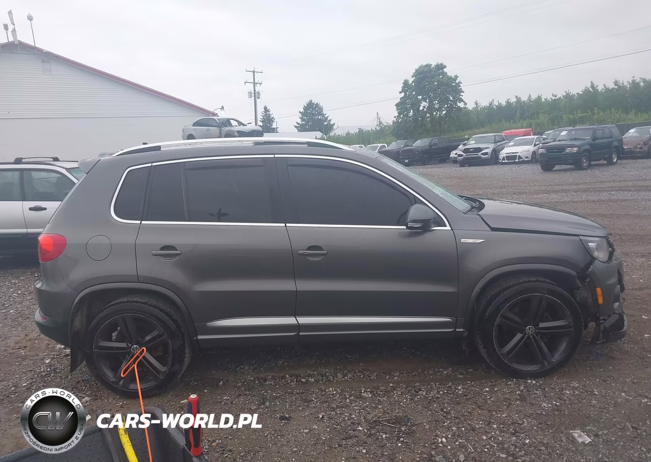 2014 Volkswagen Tiguan R-Line VIN:WVGBV3AX0EW124051 - 13