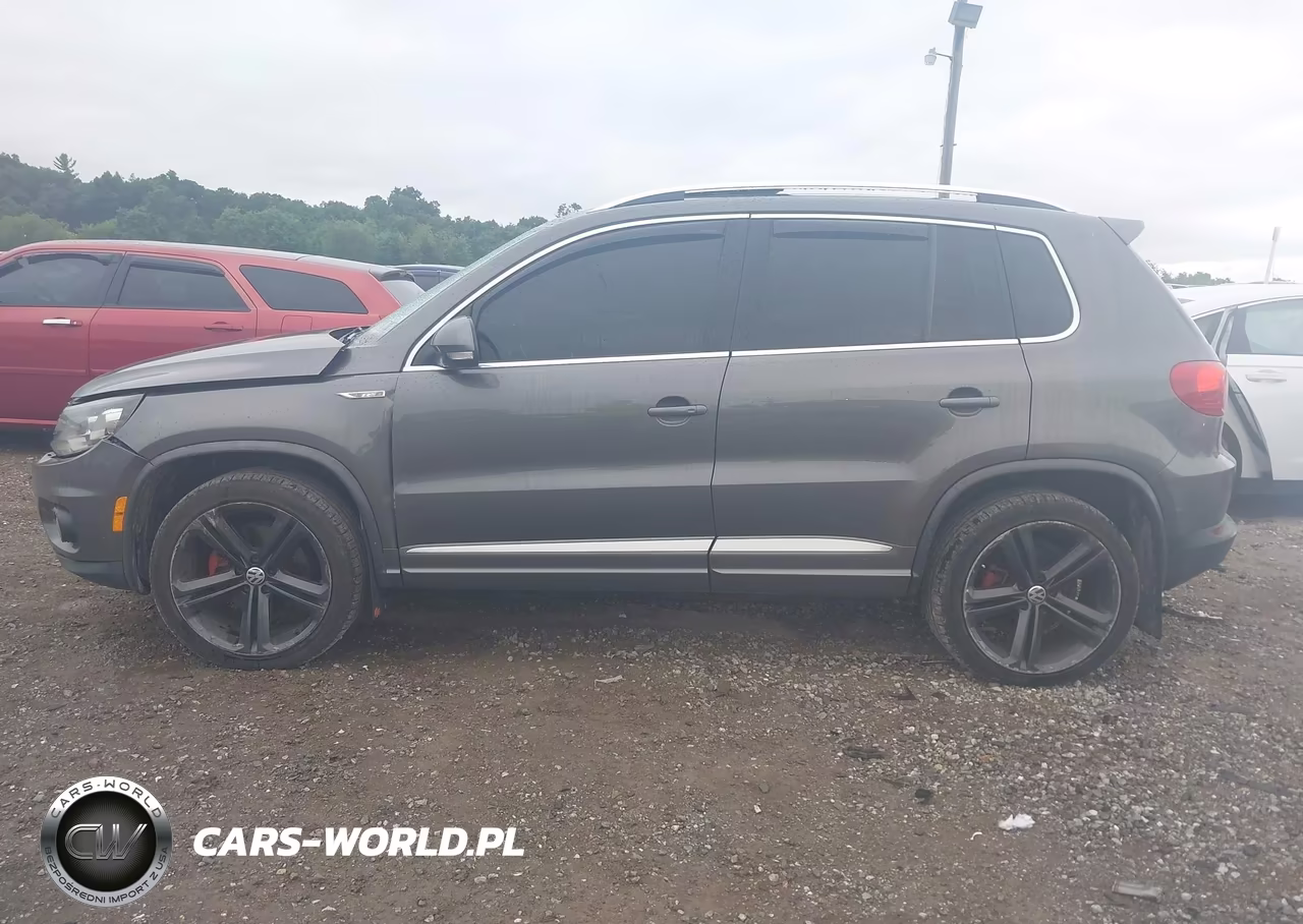 2014 Volkswagen Tiguan R-Line VIN:WVGBV3AX0EW124051 - 14