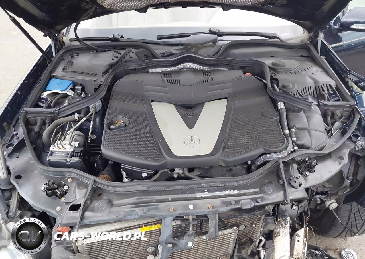 2008 Mercedes-Benz E 320 Bluetec VIN:WDBUF22X48B291204 - 10