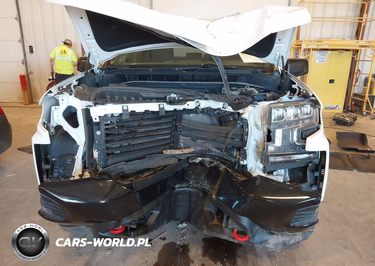 2021 Chevrolet Silverado 1500 4Wd Short Bed Lt Trail Boss VIN:1GCPYFED0MZ372106 - 10