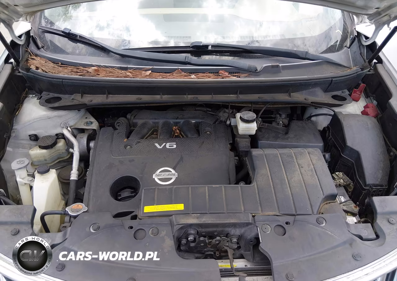 2010 Nissan Murano S VIN:JN8AZ1MU2AW021304 - 10