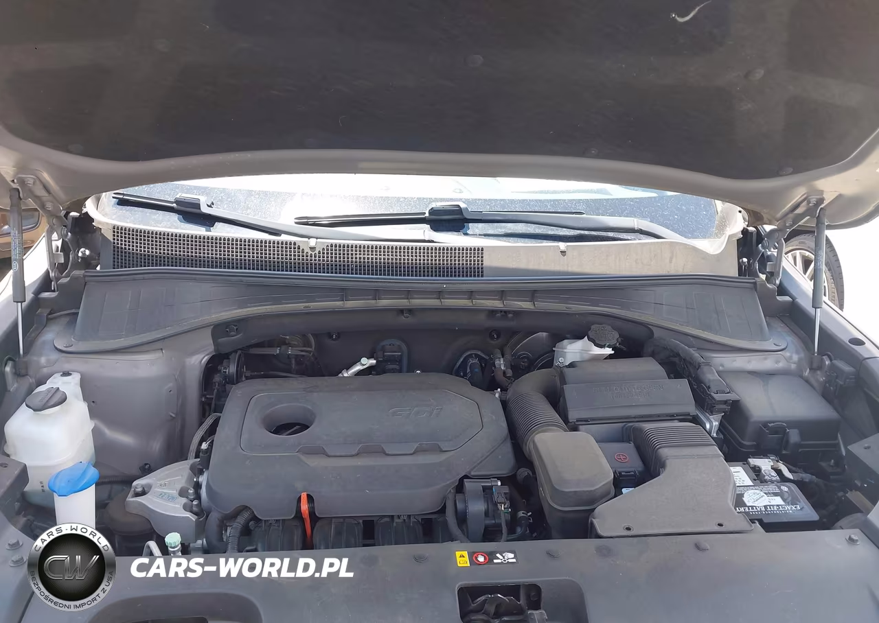 2018 Kia Sorento 2.4L Lx VIN:5XYPG4A34JG384077 - 10