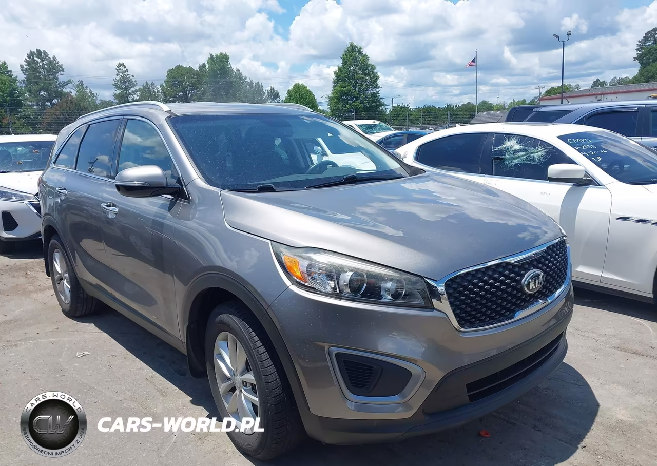2018 Kia Sorento 2.4L Lx VIN:5XYPG4A34JG384077 - 13