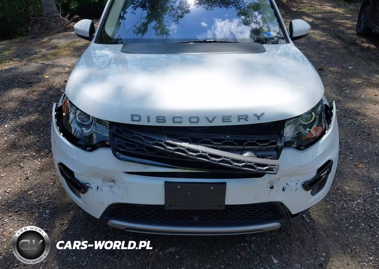 2018 Land Rover Discovery Sport Hse VIN:SALCR2RX8JH746285 - 6
