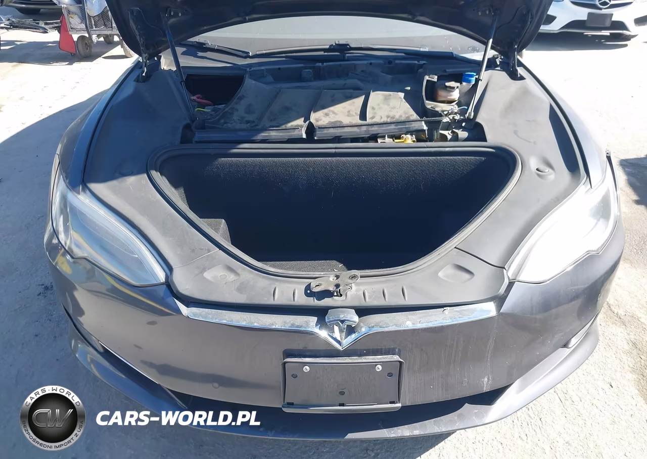 2019 Tesla Model S 100D-75D-Long Range-Standard Range VIN:5YJSA1E21KF335696 - 10