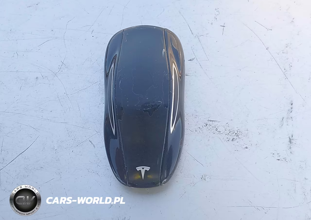 2019 Tesla Model S 100D-75D-Long Range-Standard Range VIN:5YJSA1E21KF335696 - 11