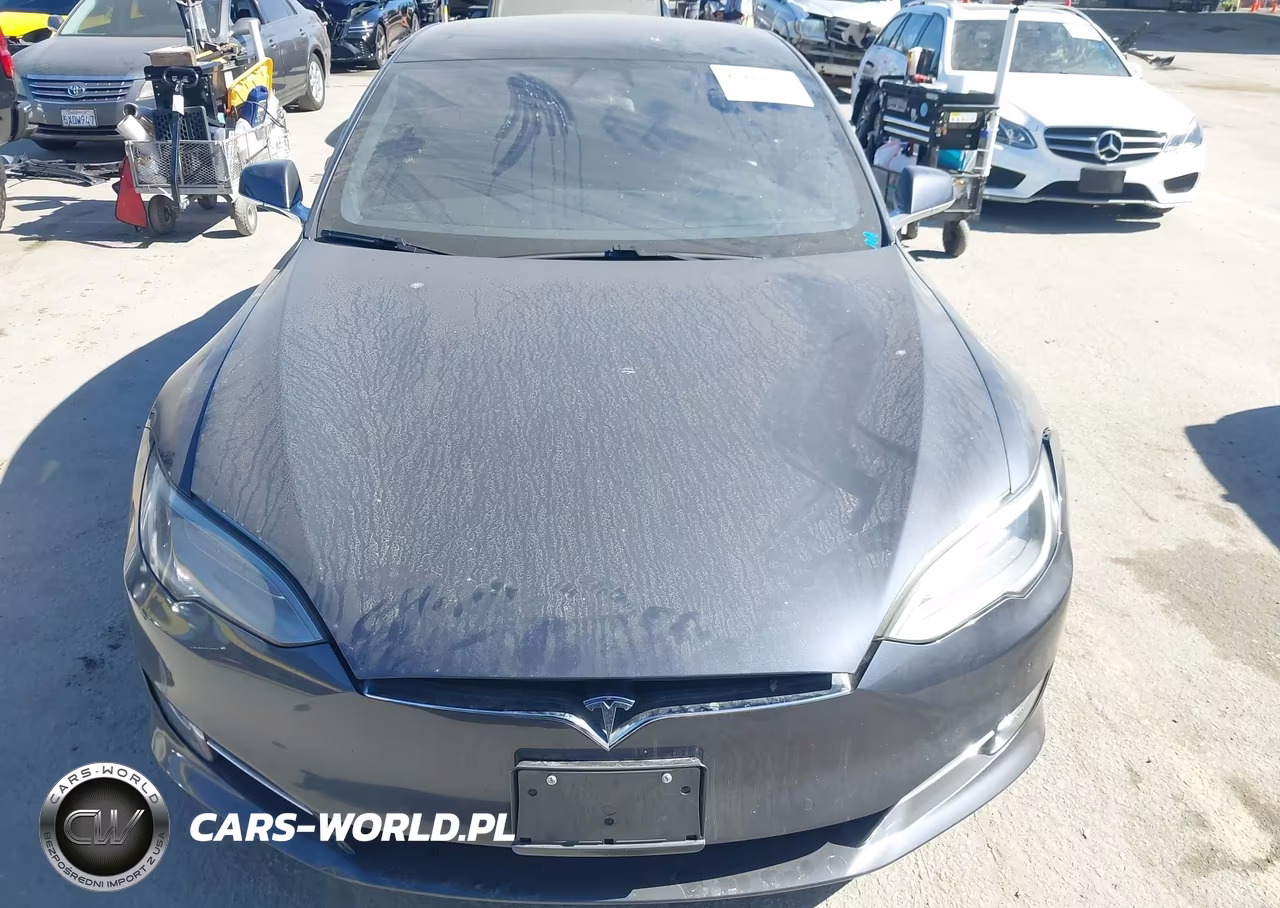 2019 Tesla Model S 100D-75D-Long Range-Standard Range VIN:5YJSA1E21KF335696 - 12