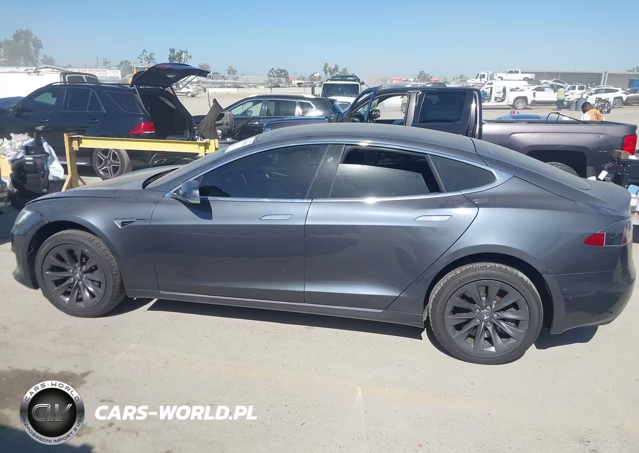 2019 Tesla Model S 100D-75D-Long Range-Standard Range VIN:5YJSA1E21KF335696 - 14