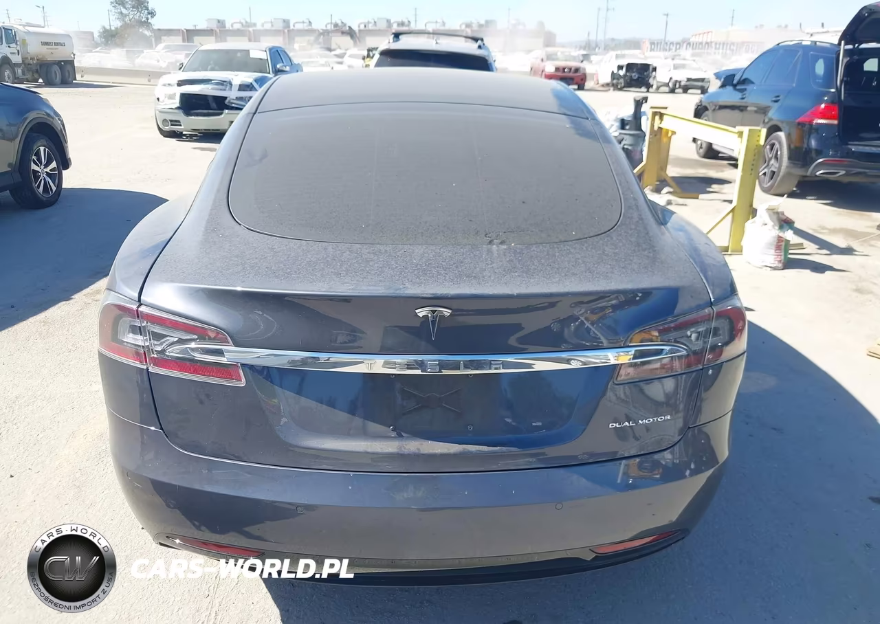2019 Tesla Model S 100D-75D-Long Range-Standard Range VIN:5YJSA1E21KF335696 - 16