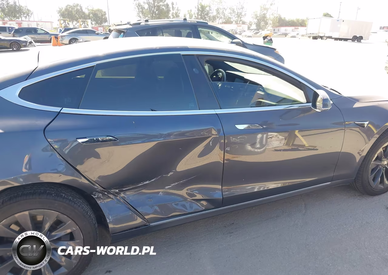 2019 Tesla Model S 100D-75D-Long Range-Standard Range VIN:5YJSA1E21KF335696 - 6