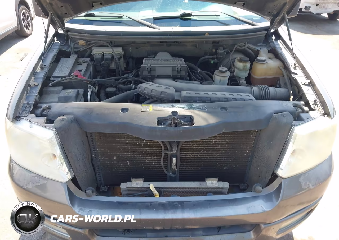 2004 Ford F-150 VIN:1FTPX14554NA60158 - 10