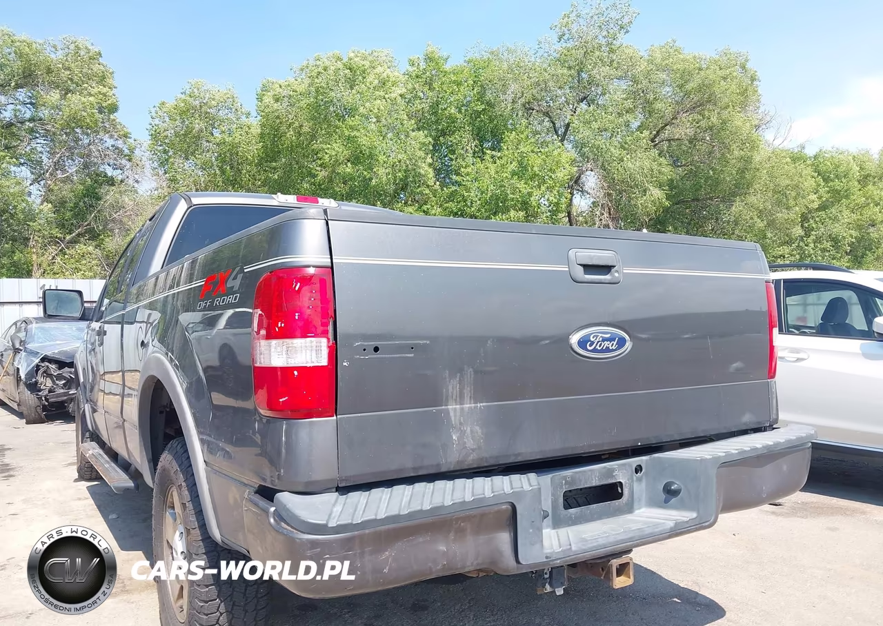 2004 Ford F-150 VIN:1FTPX14554NA60158 - 12