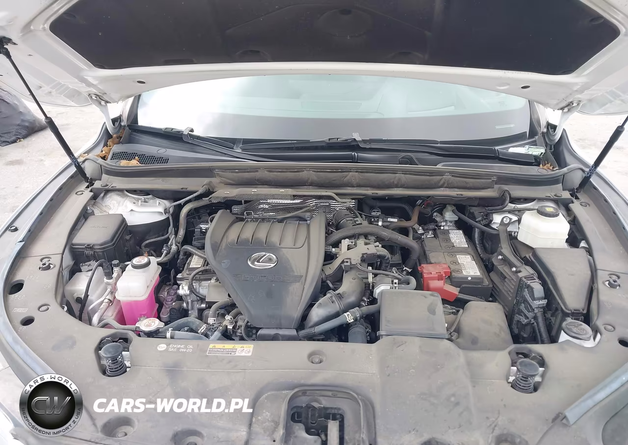 2023 Lexus Rx 350 Premium Plus VIN:2T2BAMBAXPC021176 - 10
