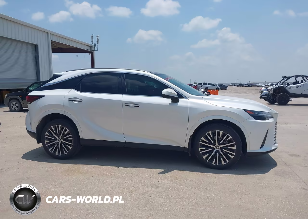 2023 Lexus Rx 350 Premium Plus VIN:2T2BAMBAXPC021176 - 13
