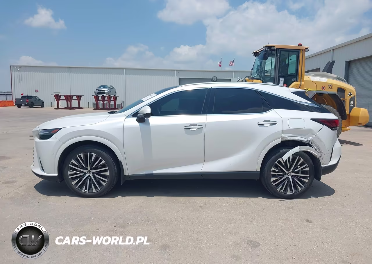 2023 Lexus Rx 350 Premium Plus VIN:2T2BAMBAXPC021176 - 14