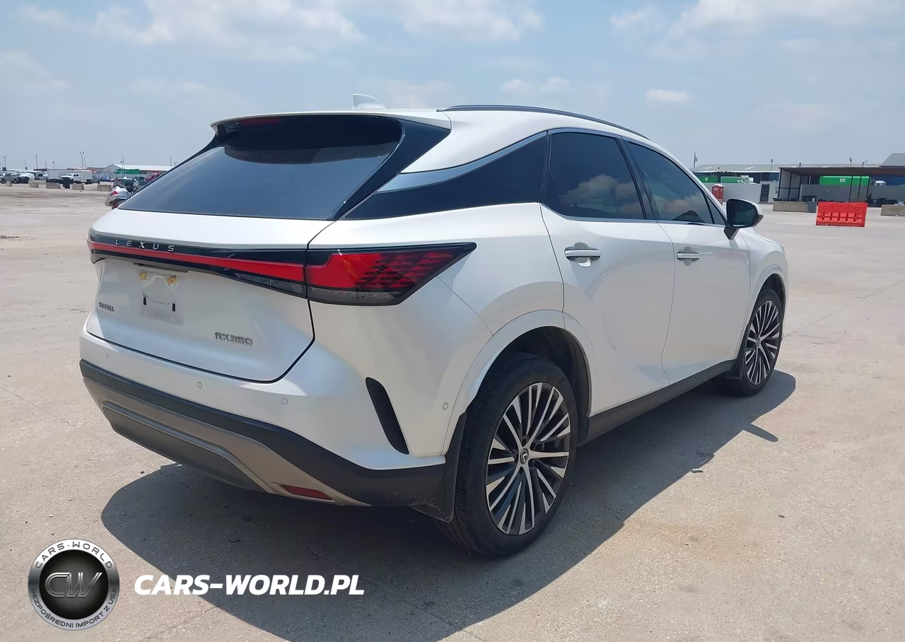 2023 Lexus Rx 350 Premium Plus VIN:2T2BAMBAXPC021176 - 4