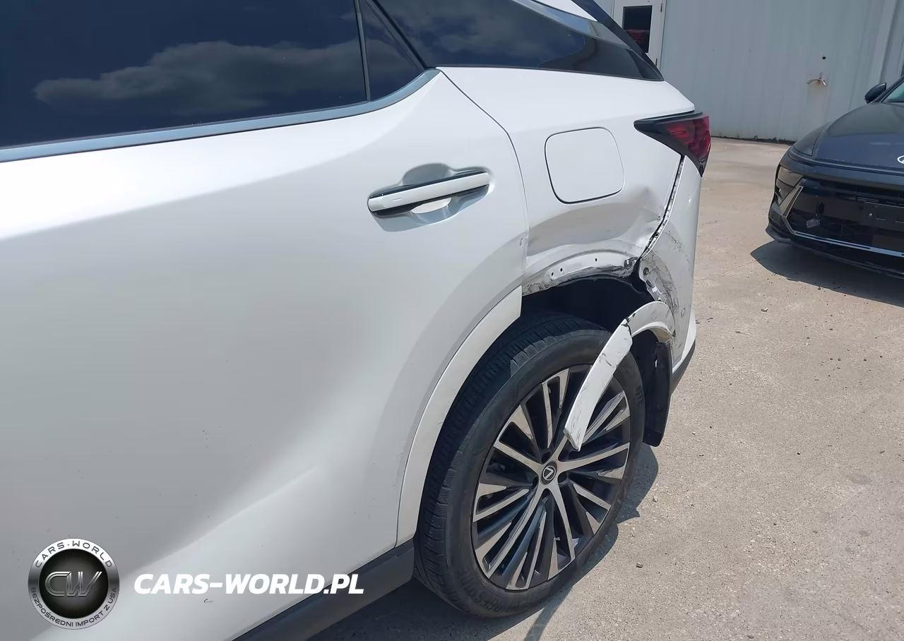 2023 Lexus Rx 350 Premium Plus VIN:2T2BAMBAXPC021176 - 6