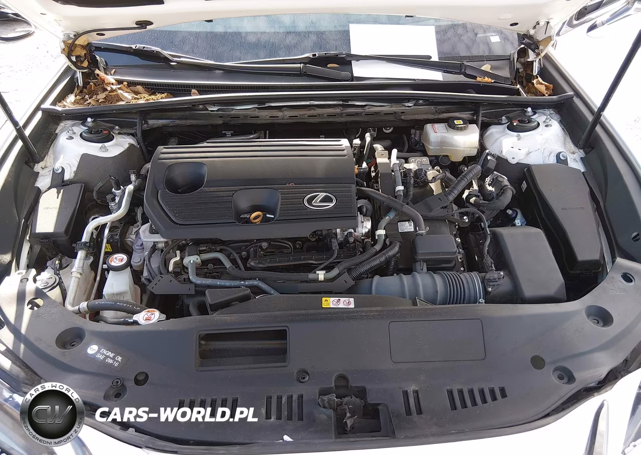 2022 Lexus Es 300H F Sport VIN:58AGA1C17NU019963 - 10