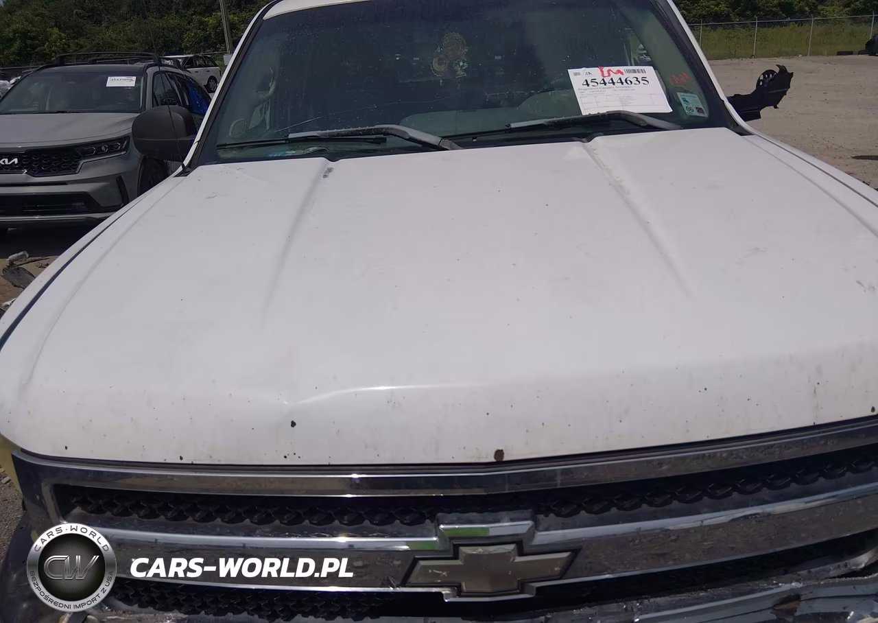 2007 Chevrolet Silverado 1500 Work Truck VIN:2GCEC13C471523853 - 10