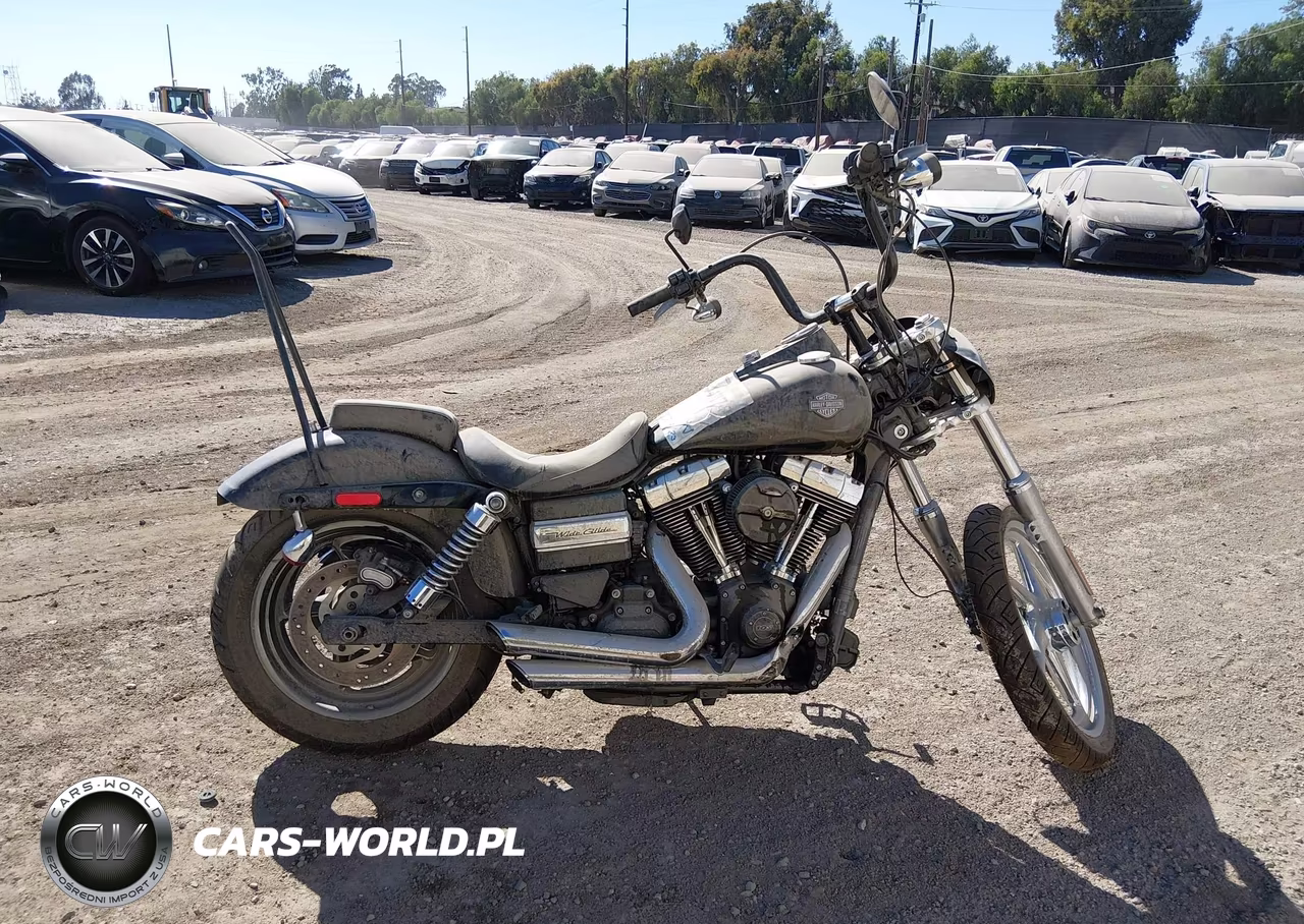 2015 Harley-Davidson Fxdwg Dyna Wide Glide VIN:1HD1GPM37FC317261 - 11