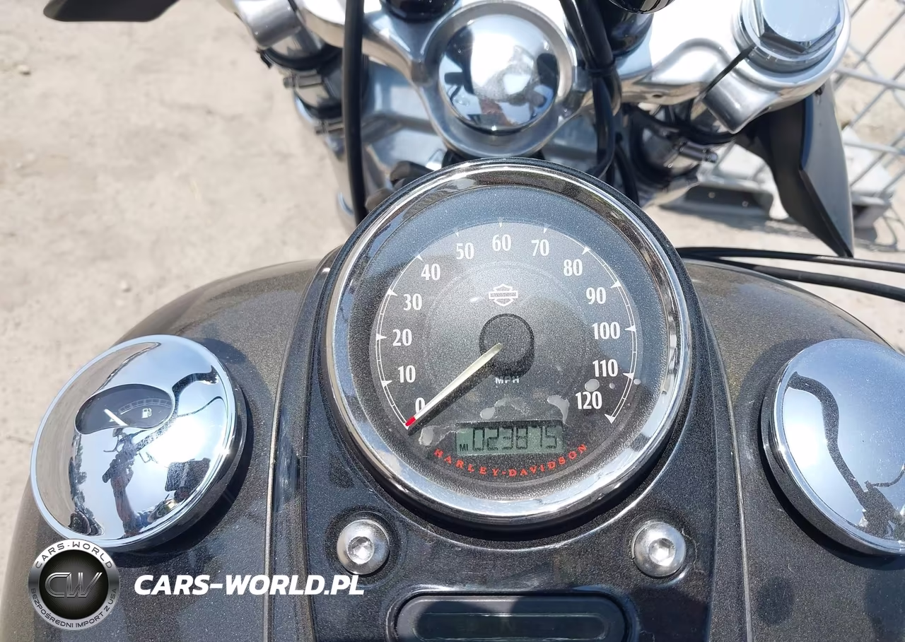 2015 Harley-Davidson Fxdwg Dyna Wide Glide VIN:1HD1GPM37FC317261 - 7