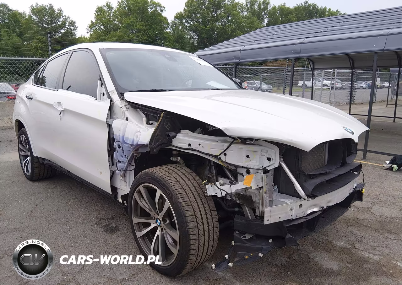 2019 BMW X6 xDrive35I – zdjęcie 1 z 22