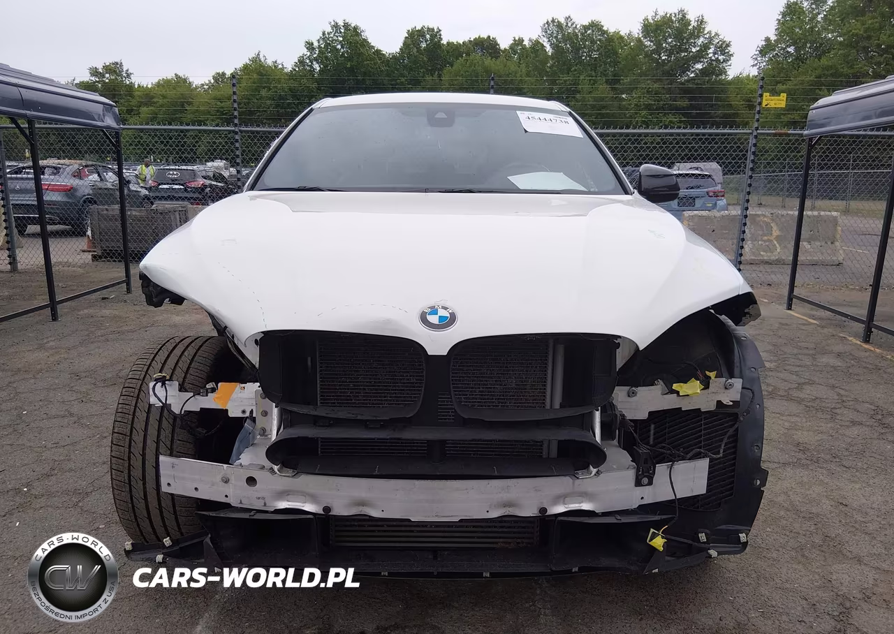2019 BMW X6 xDrive35I VIN:5UXKU2C53K0Z65632 - 13