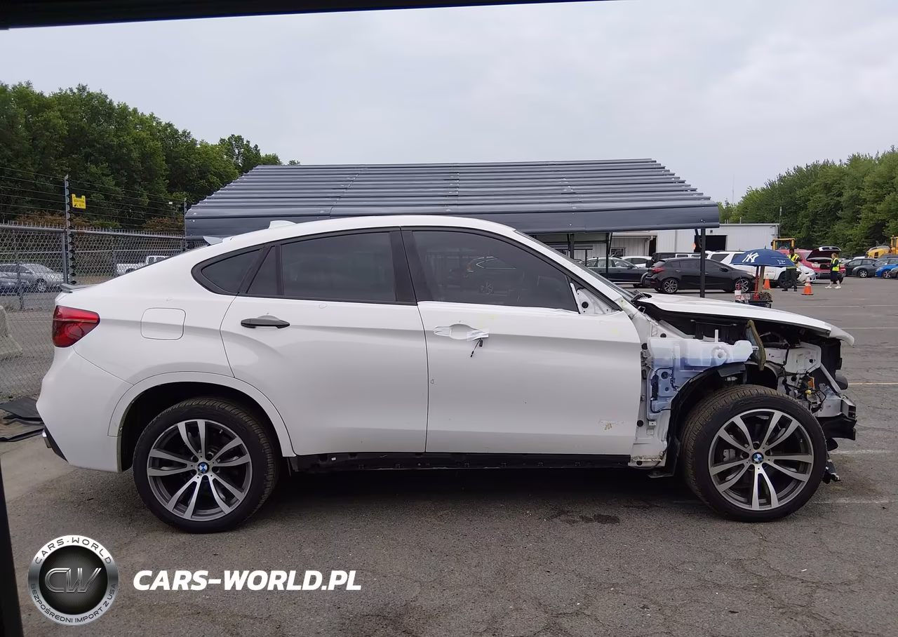 2019 BMW X6 xDrive35I VIN:5UXKU2C53K0Z65632 - 14