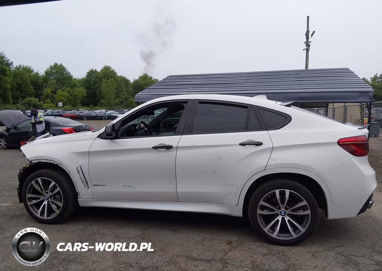 2019 BMW X6 xDrive35I VIN:5UXKU2C53K0Z65632 - 15