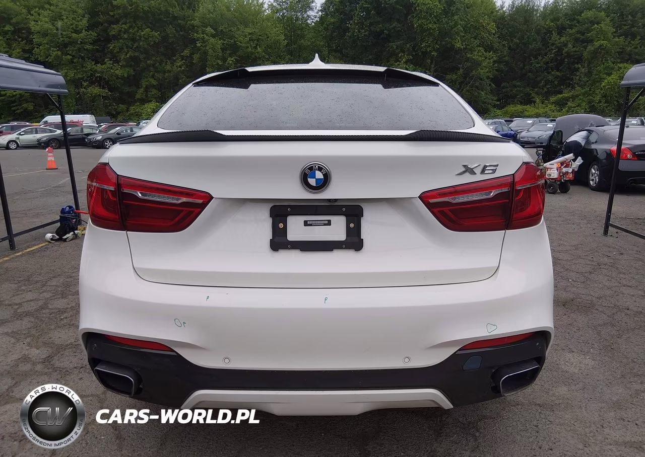 2019 BMW X6 xDrive35I VIN:5UXKU2C53K0Z65632 - 17