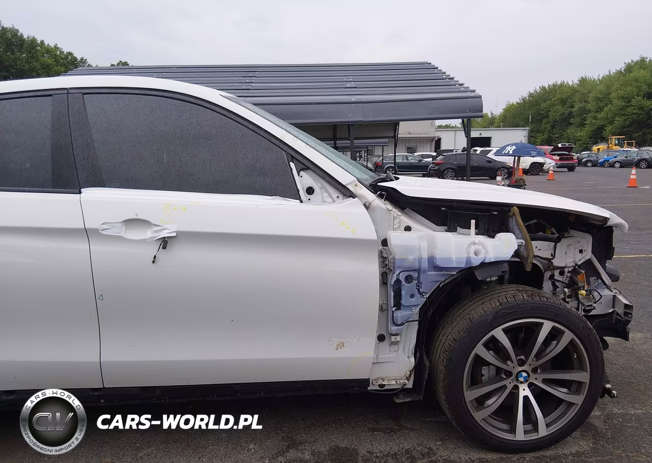 2019 BMW X6 xDrive35I VIN:5UXKU2C53K0Z65632 - 18