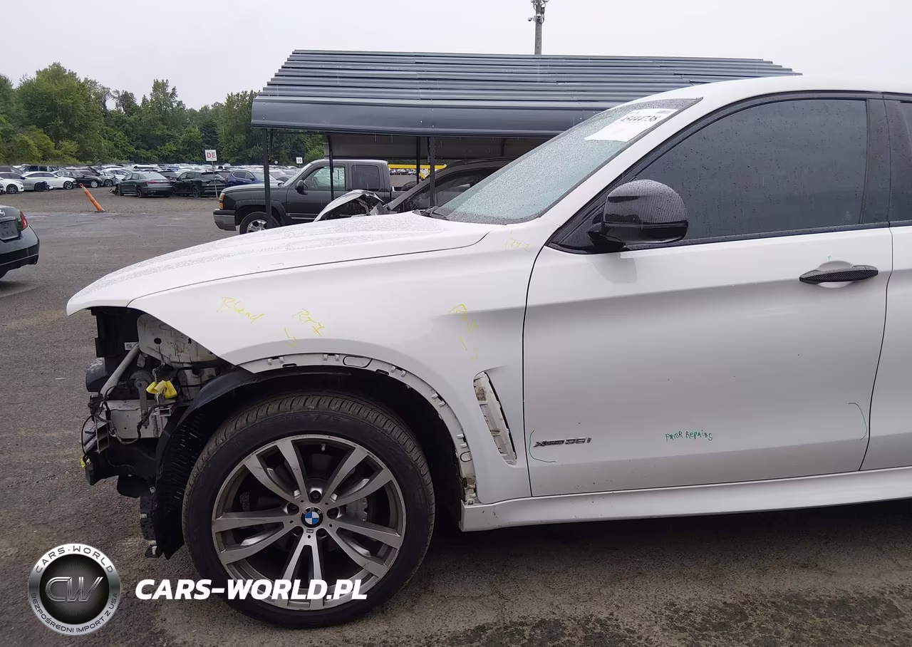 2019 BMW X6 xDrive35I VIN:5UXKU2C53K0Z65632 - 19