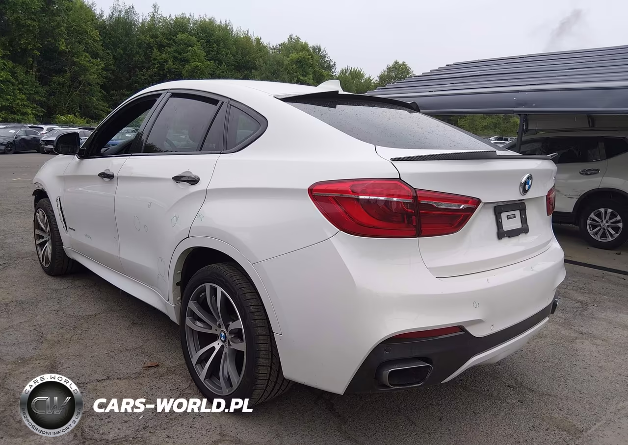2019 BMW X6 xDrive35I VIN:5UXKU2C53K0Z65632 - 3