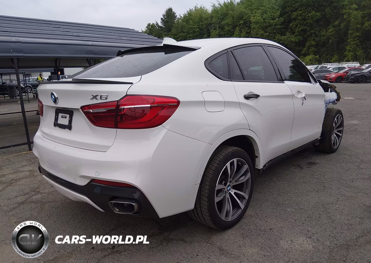 2019 BMW X6 xDrive35I VIN:5UXKU2C53K0Z65632 - 4