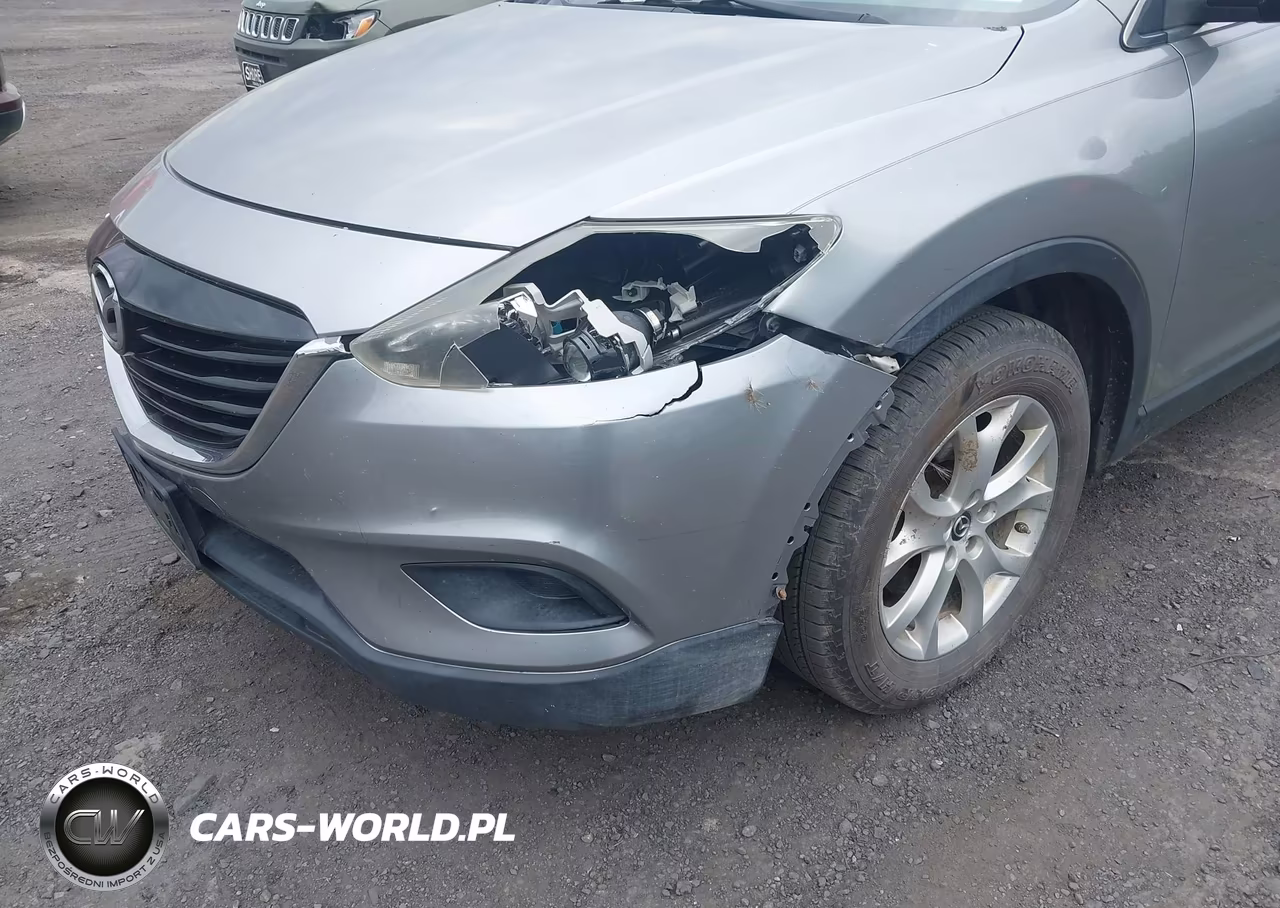 2013 Mazda Cx-9 Sport VIN:JM3TB3BV1D0420347 - 13