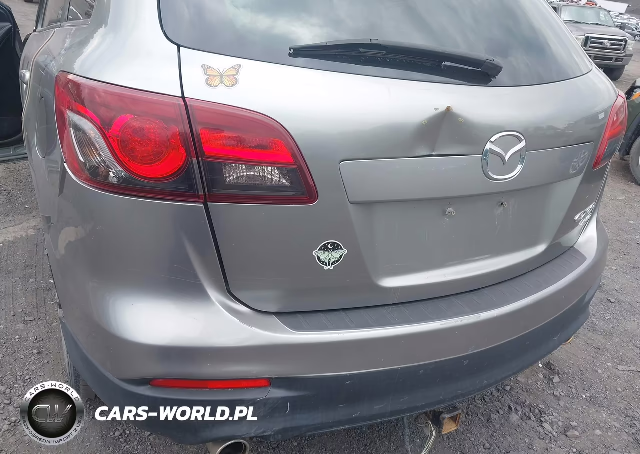 2013 Mazda Cx-9 Sport VIN:JM3TB3BV1D0420347 - 14