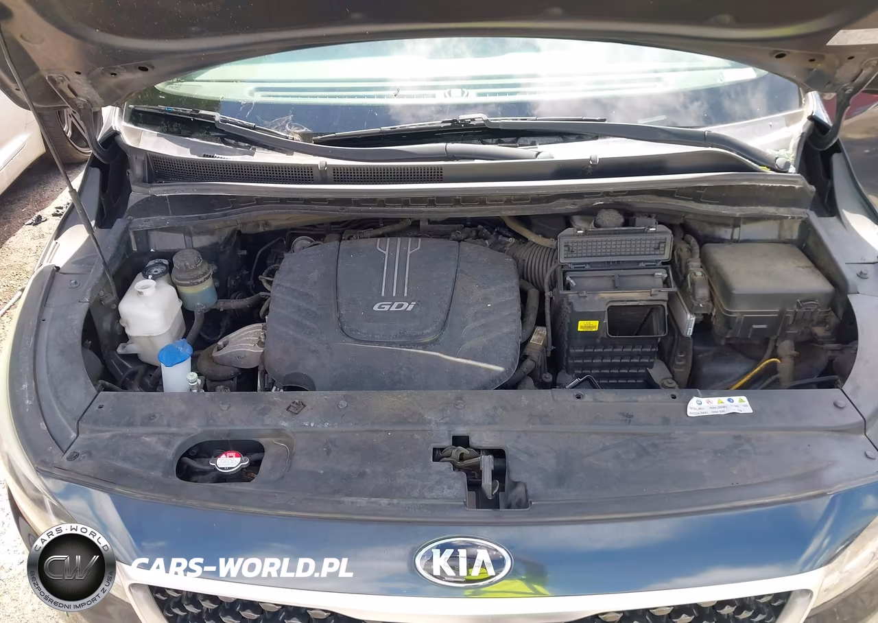 2017 Kia Sedona Lx VIN:KNDMB5C13H6231884 - 10