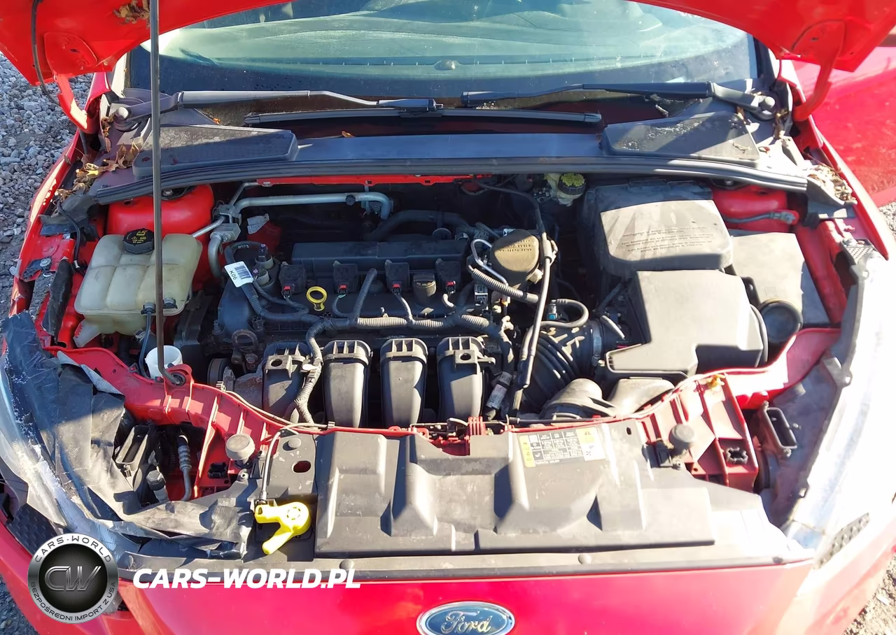 2015 Ford Focus Se VIN:1FADP3F2XFL205118 - 10