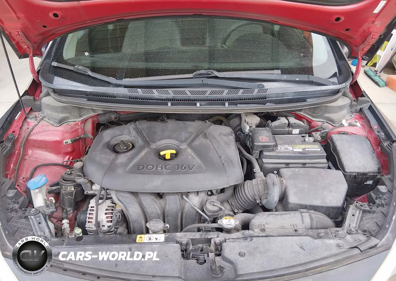 2015 Kia Forte Lx VIN:KNAFX4A68F5365454 - 10